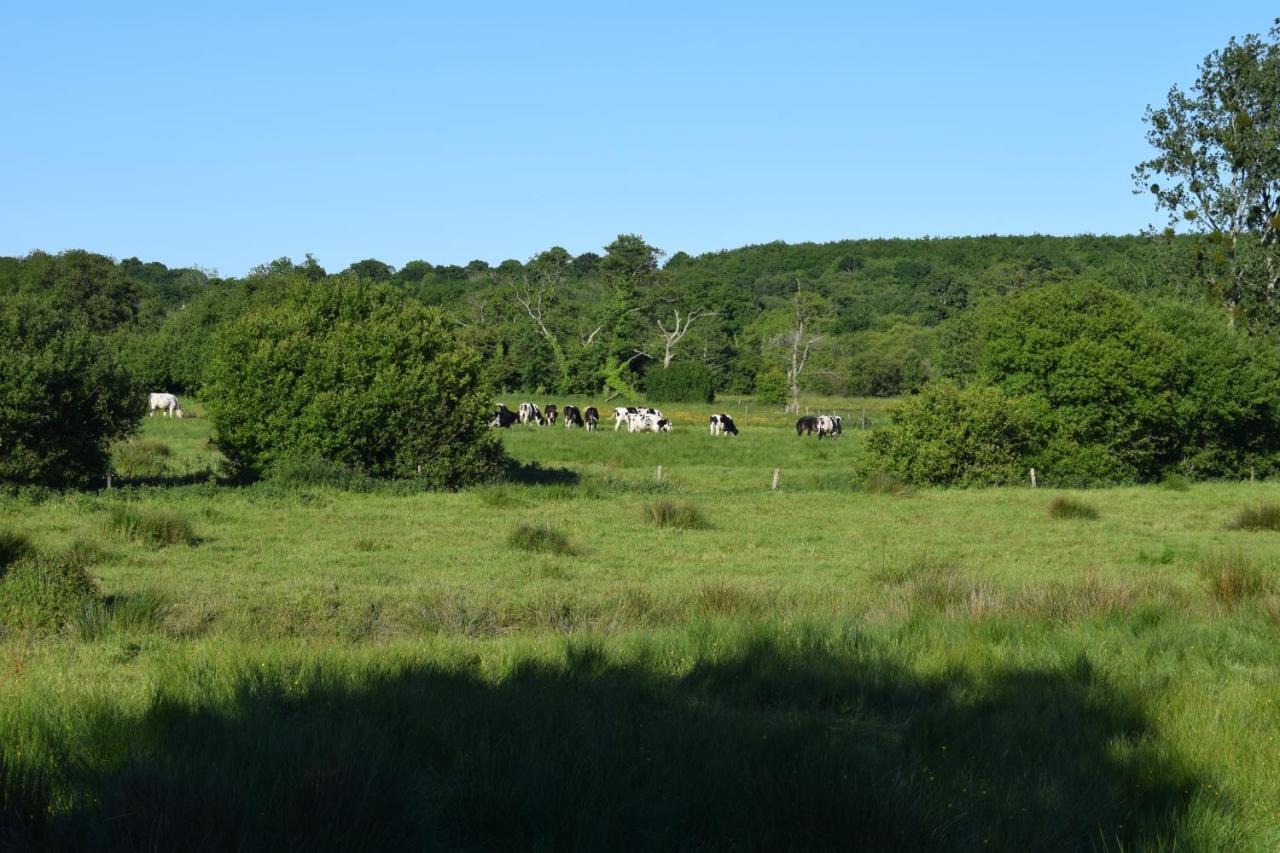 Auberge de la vallée de la douve L'Etang-Bertrand Esterno foto